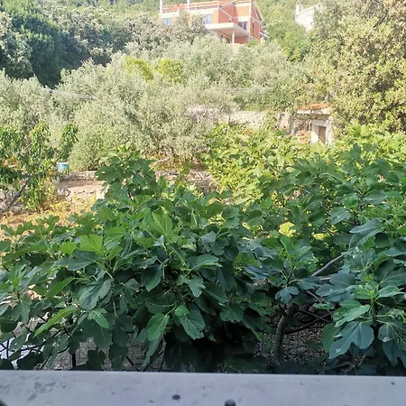 Sobe I Mareta Πανσιόν